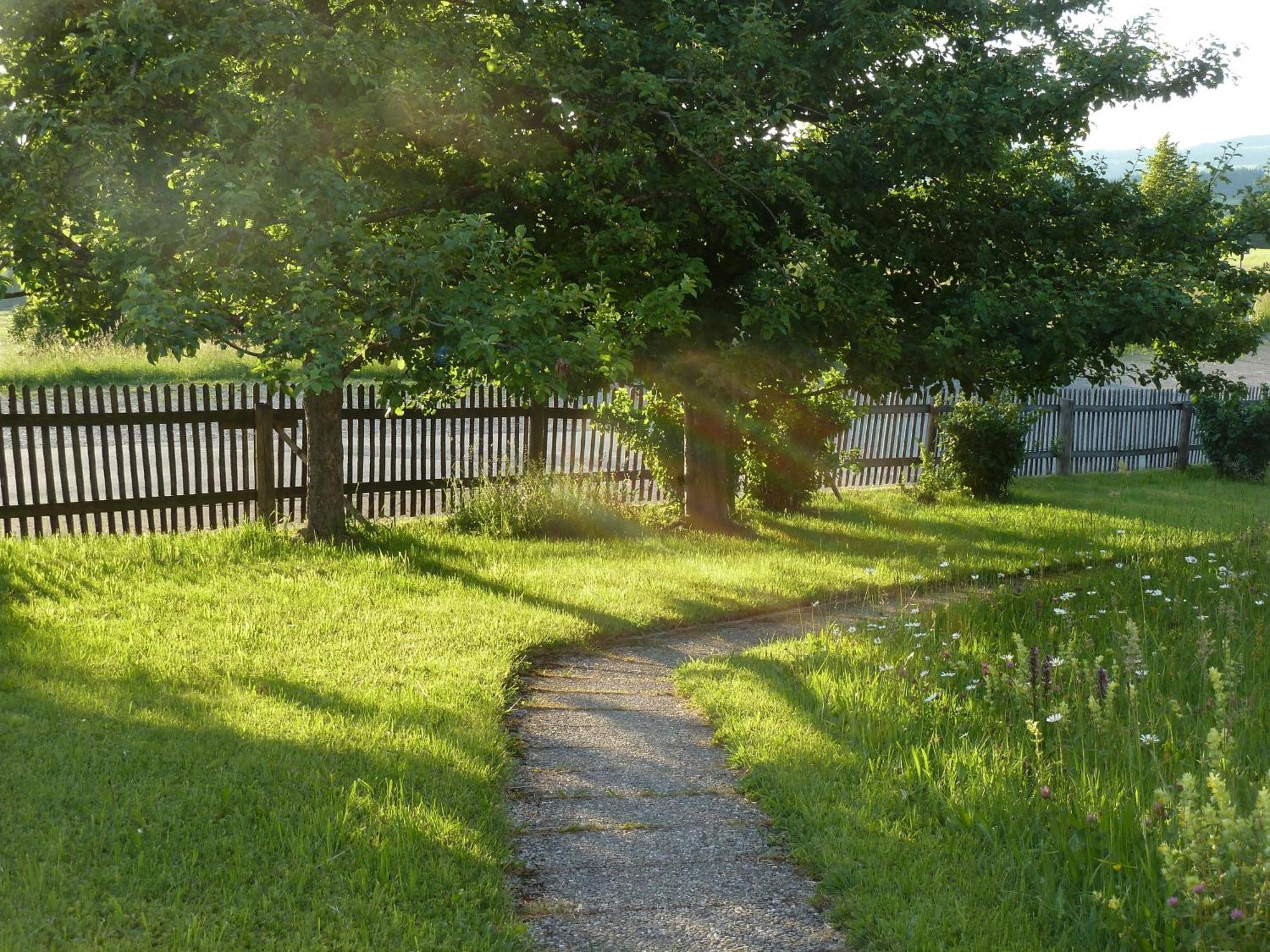 Ferienwohnung Hoernle Bad Kohlgrub Exteriér fotografie